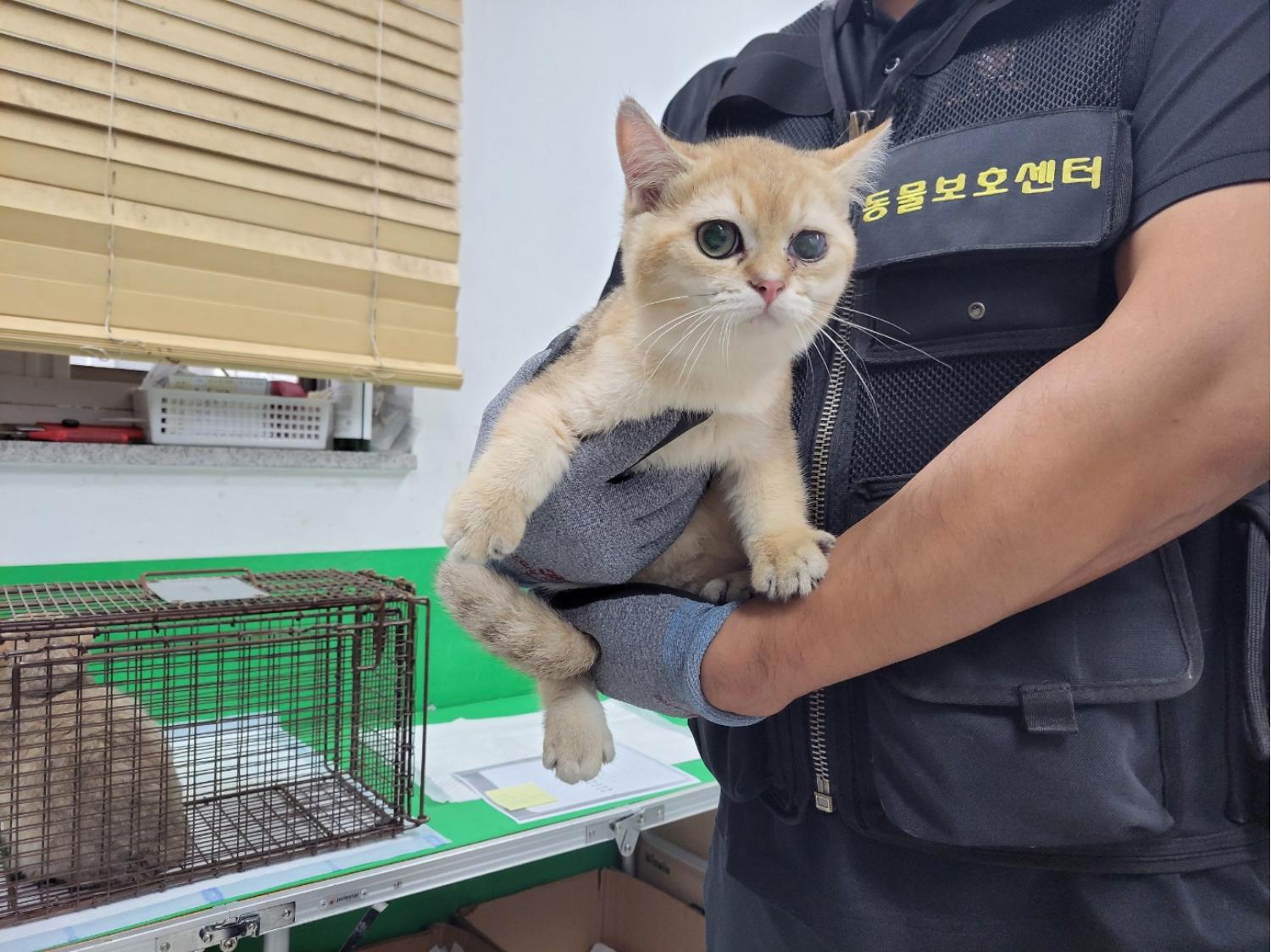 고양시동물보호센터_441394202401959