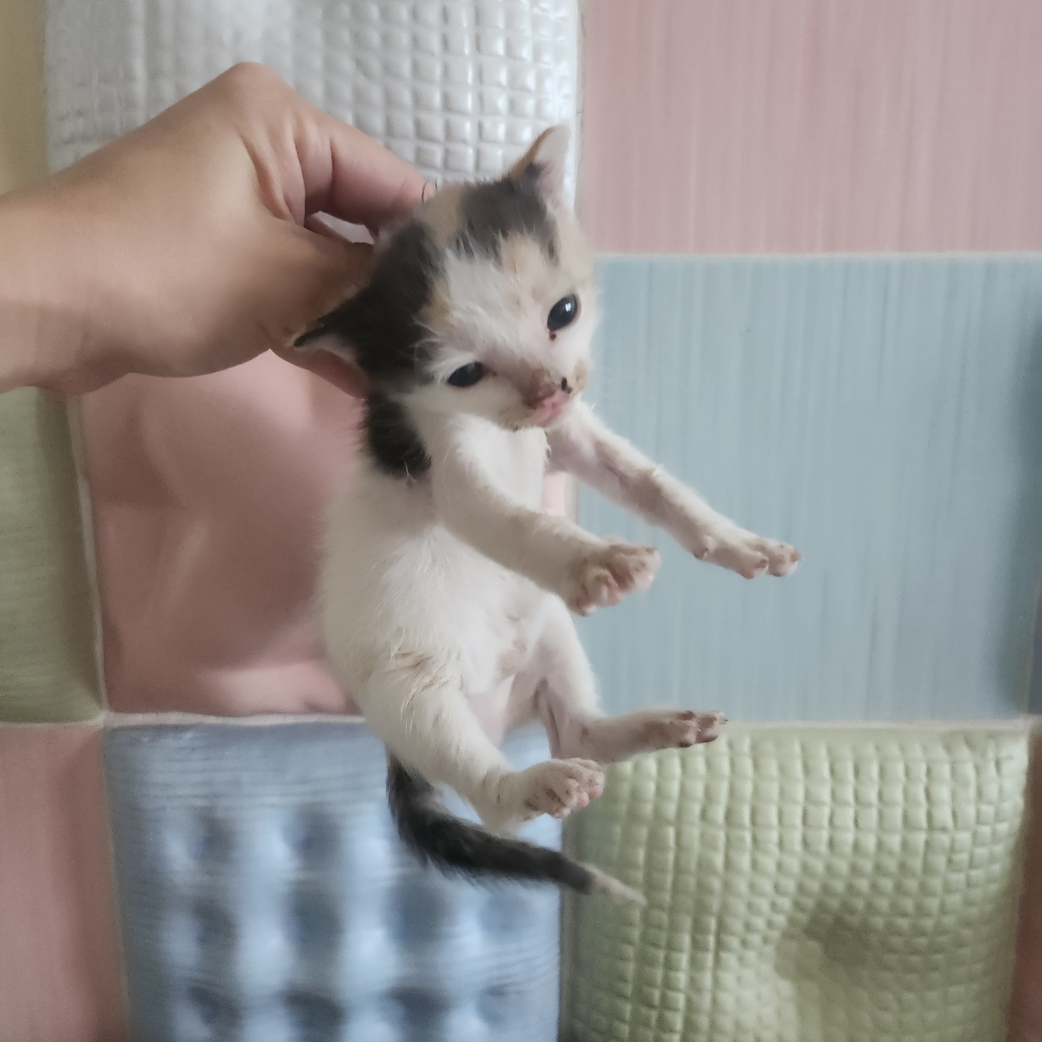 부산동물보호센터_426332202400570