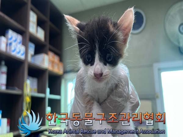 종료(자연사) 한국…