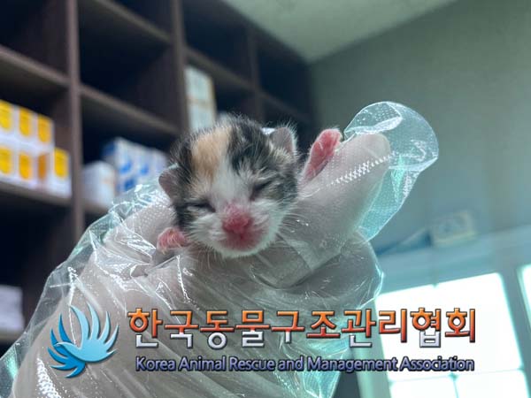 한국동물구조관리협회_411323202400983