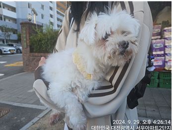 대전동물보호센터_430366202400509