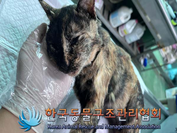 한국동물구조관리협회_411307202400473