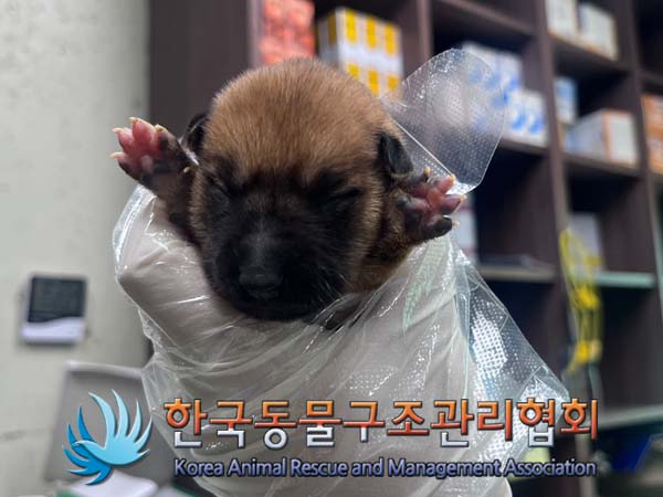 한국동물구조관리협회_441414202400741