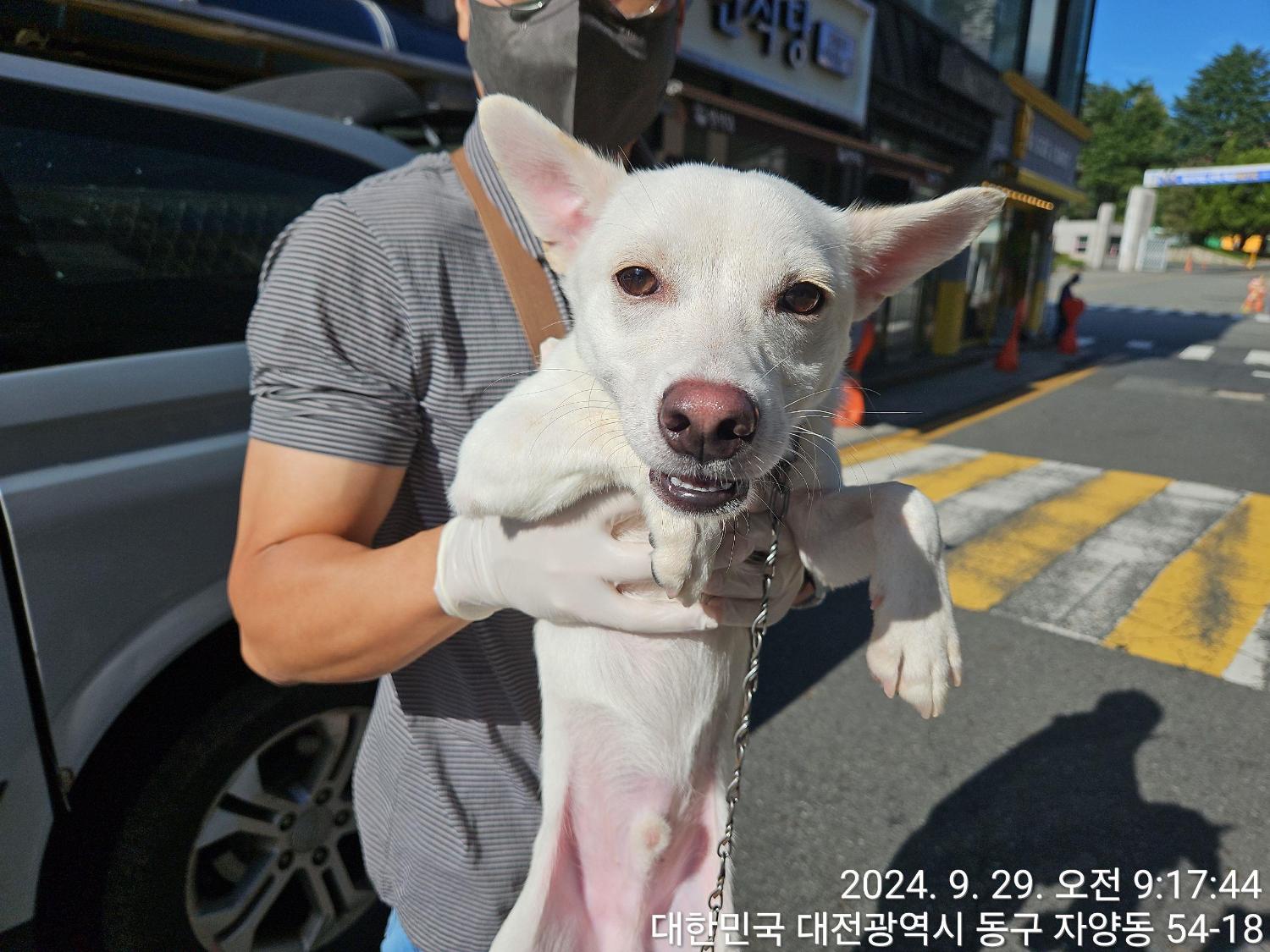 대전동물보호센터_430364202400752