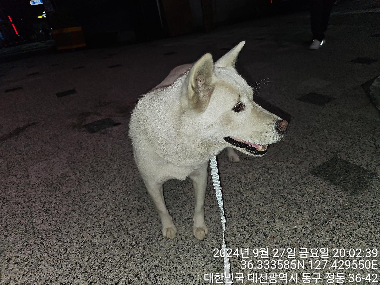 대전동물보호센터_430364202400751