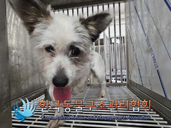 한국동물구조관리협회_411316202400531