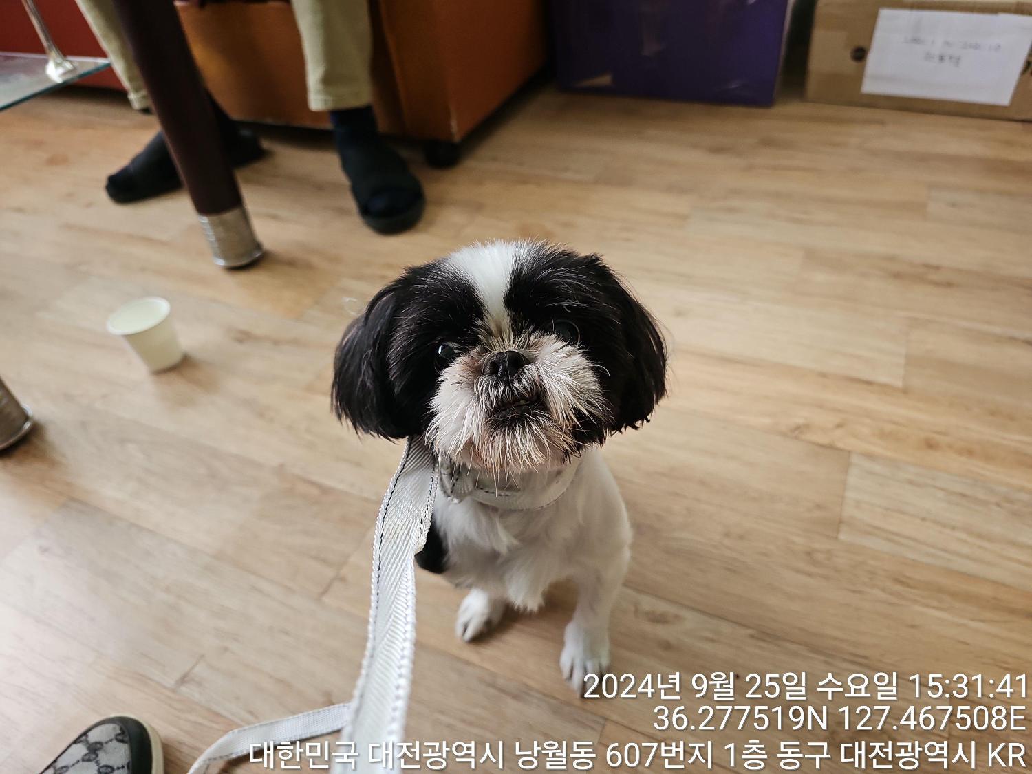 대전동물보호센터_430364202400745