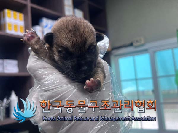 한국동물구조관리협회_441414202400742