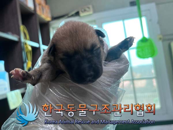 한국동물구조관리협회_441414202400738