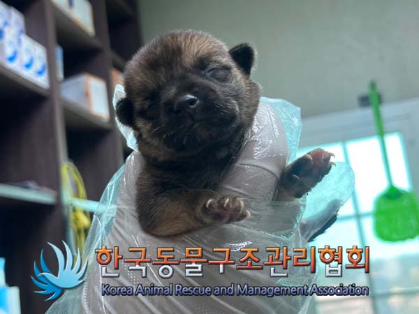 한국동물구조관리협회_441414202400739