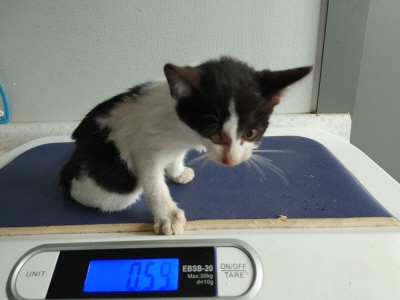 사단법인 동부_426340202400470