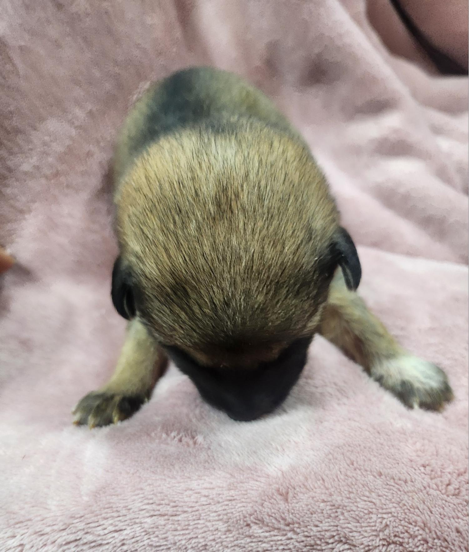 울산유기동물보호센터_431370202400886