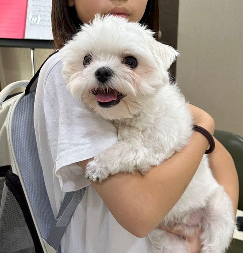 열린동물병원_411302202400661