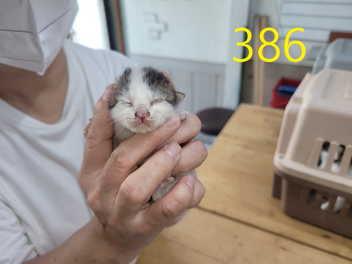 신영재동물병원_428355202400669