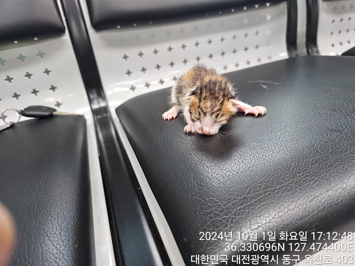 대전동물보호센터_430364202400757