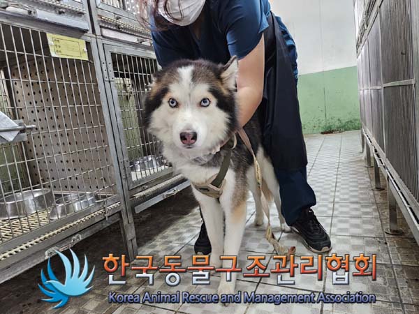 한국동물구조관리협회_411301202400320