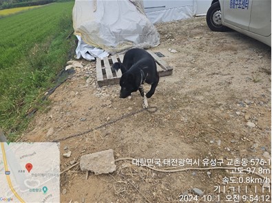 대전동물보호센터_430367202400667