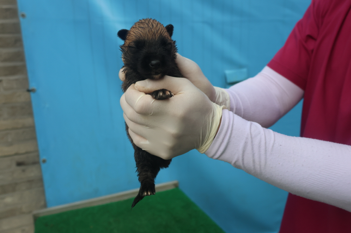 제주 동물보호센터_450650202402884