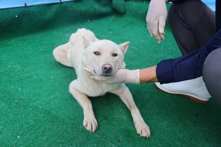 제주 동물보호센터_450650202402875