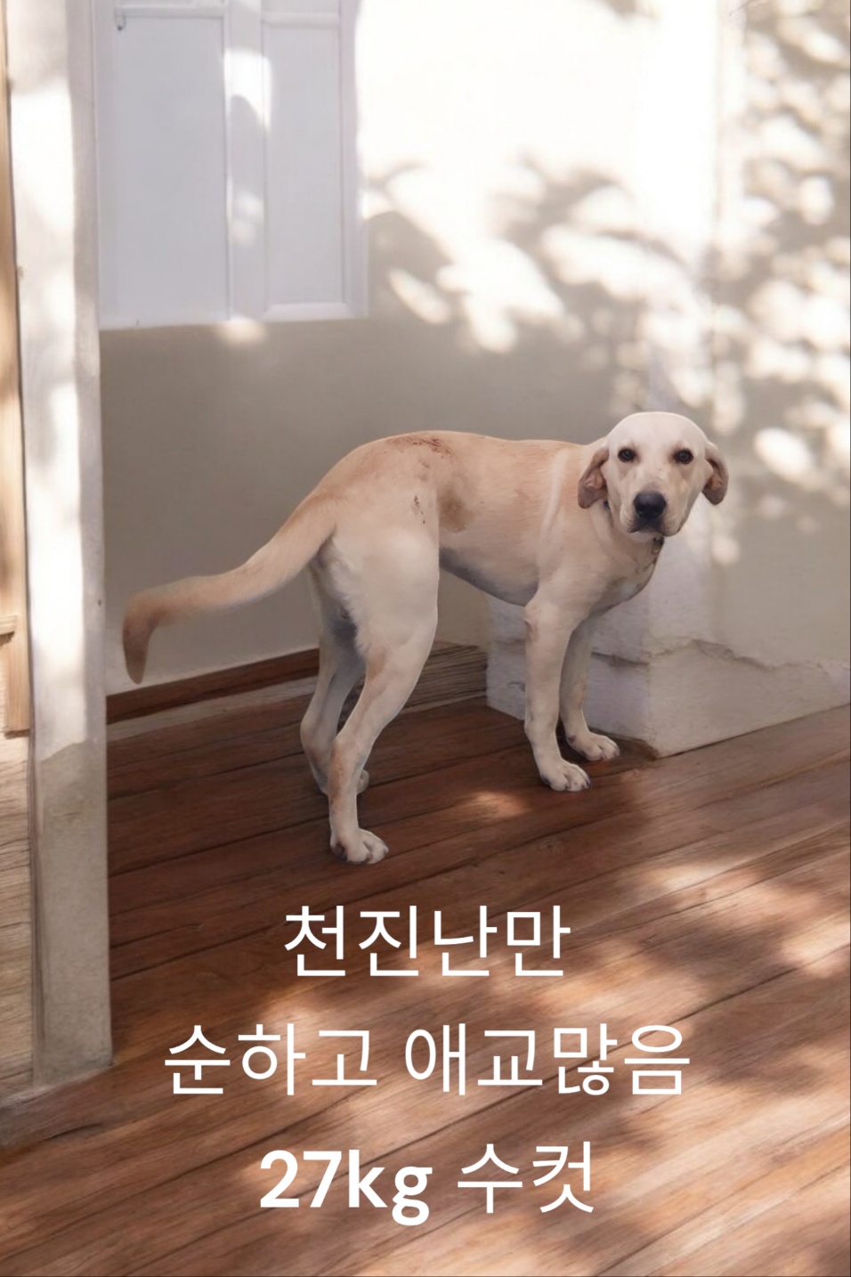 성주유기동물보호센터_447521202400434