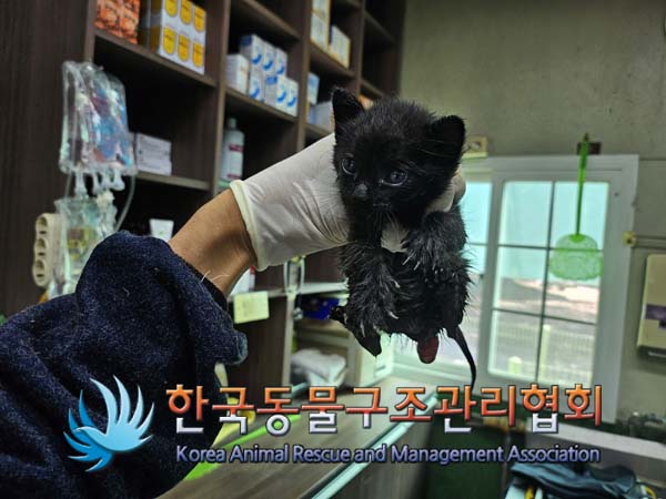 한국동물구조관리협회_441560202401214
