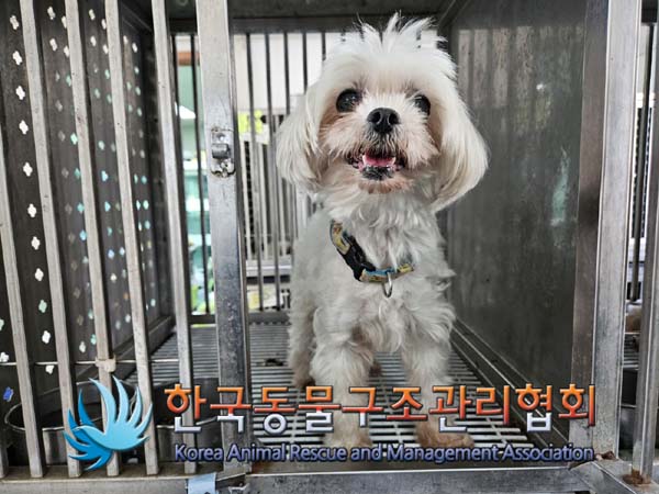 한국동물구조관리협회_411317202400340
