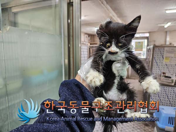 종료(자연사) 한국…