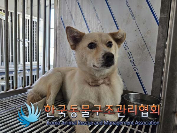 한국동물구조관리협회_411316202400549