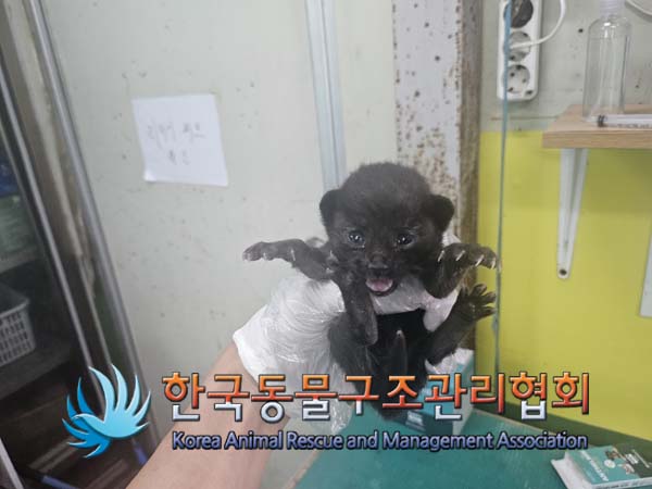 종료(자연사) 한국…