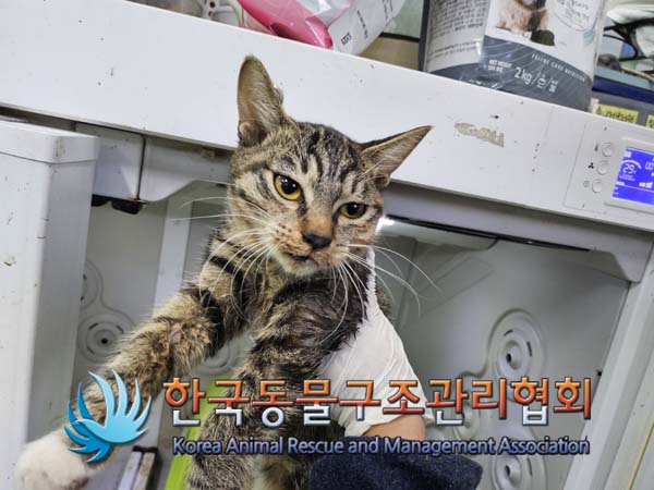 종료(자연사) 한국…