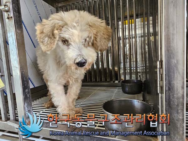 한국동물구조관리협회_441406202401622
