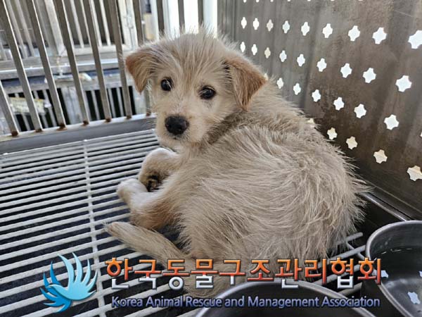 한국동물구조관리협회_411311202400725