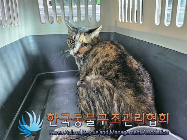 한국동물구조관리협회_411307202400475