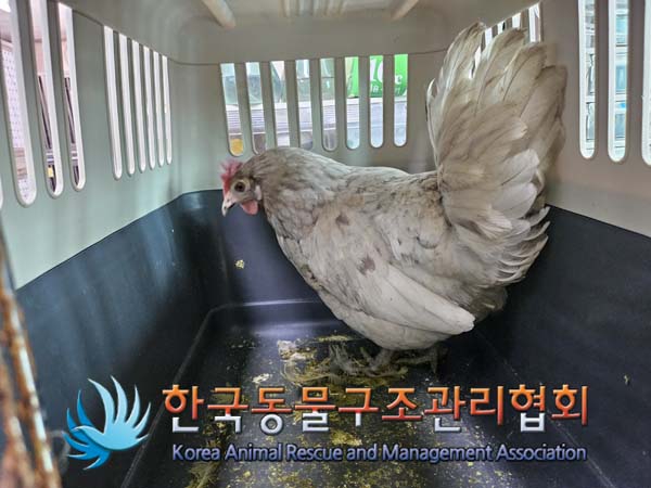 한국동물구조관리협회_411310202400650
