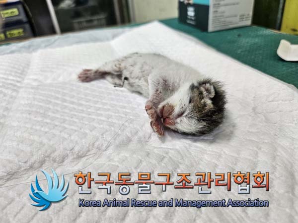 종료(자연사) 한국…