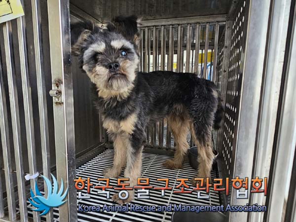 한국동물구조관리협회_441409202401448