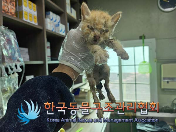 한국동물구조관리협회_411303202400451
