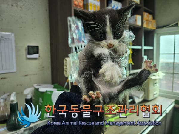 한국동물구조관리협회_411303202400450