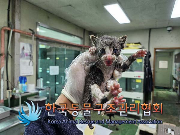 종료(자연사) 한국…