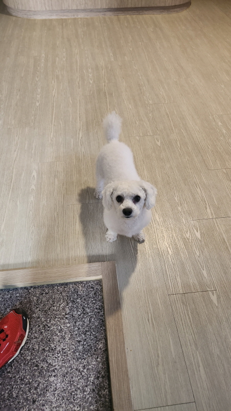 익산유기동물보호소_445468202402750