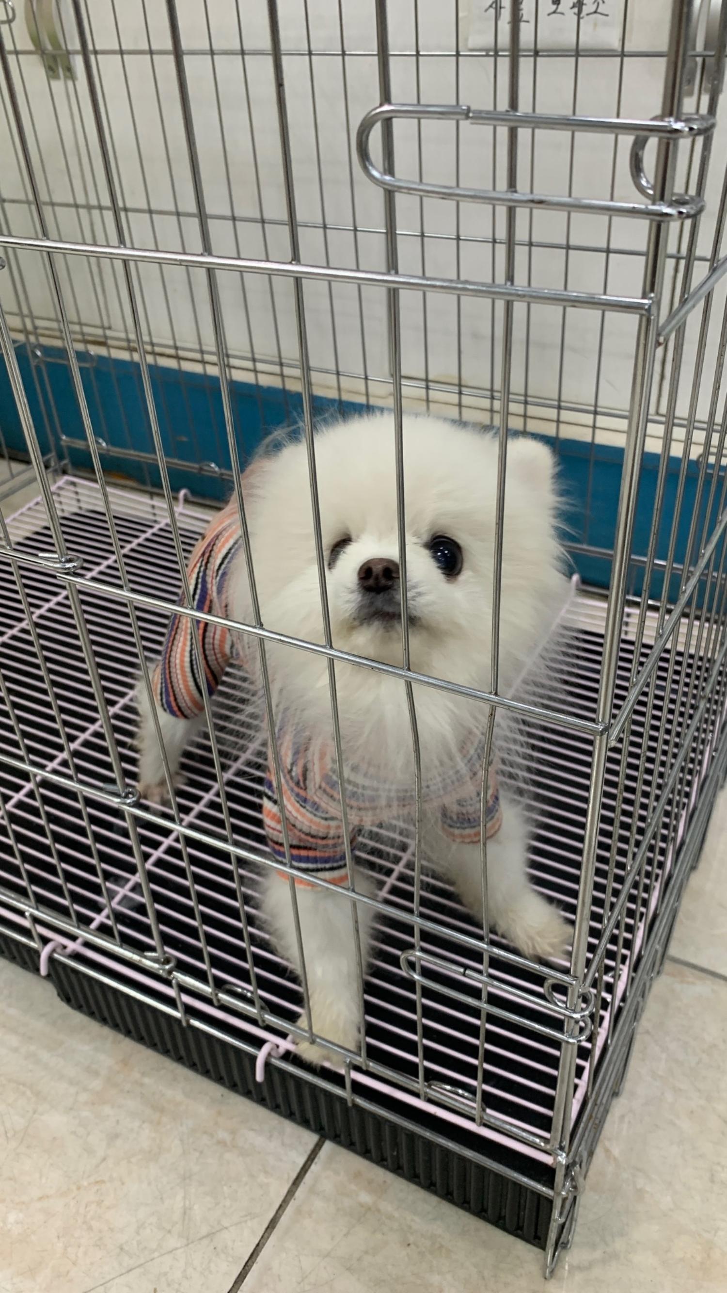 늘푸른동물병원_428354202401149