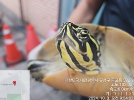 대전동물보호센터_430367202400685