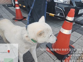 대전동물보호센터_430367202400686