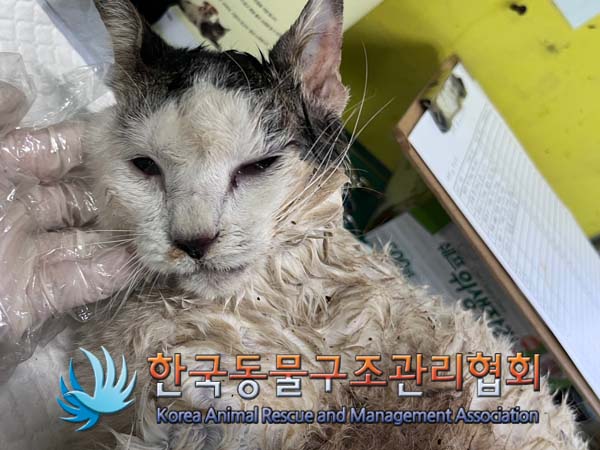 한국동물구조관리협회_441409202401515