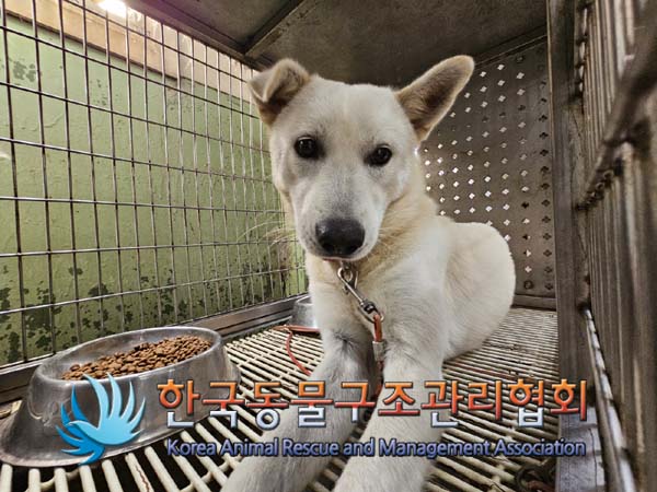 한국동물구조관리협회_441382202400741