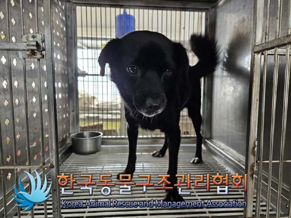한국동물구조관리협회_411301202400330