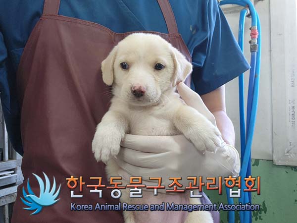 종료(자연사) 믹스…