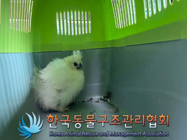 한국동물구조관리협회_411307202400499