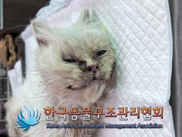 한국동물구조관리협회_441414202400755