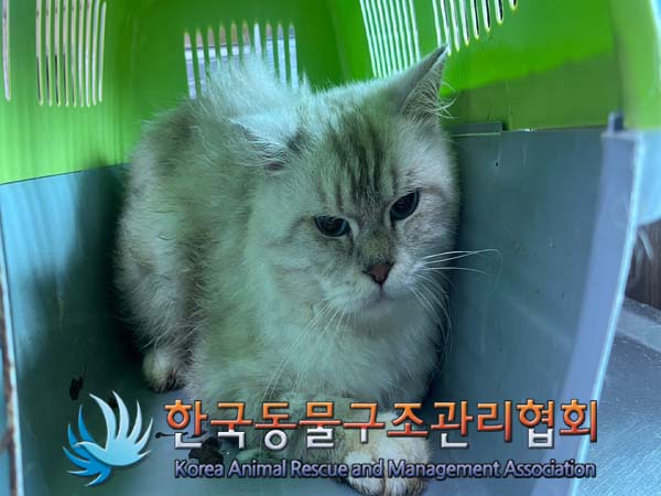 한국동물구조관리협회_411322202400614